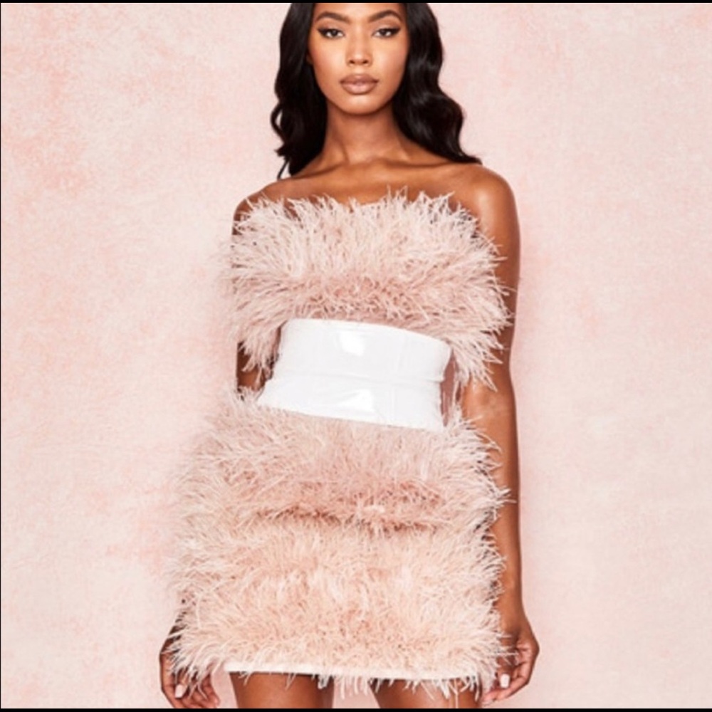 SHIRA BLUSH BONED STRAPLESS FEATHER DRESS